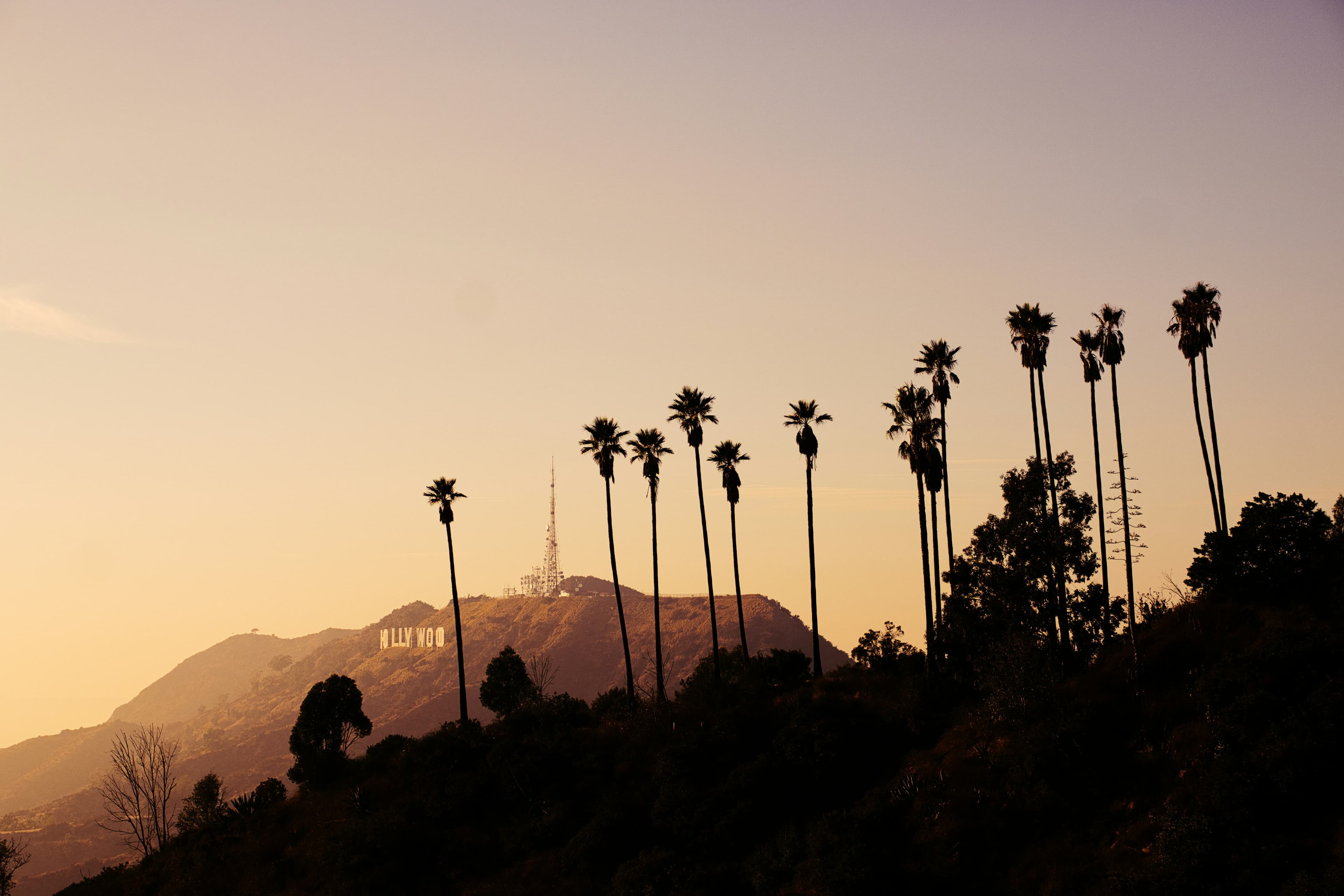 LA Marathon 2026 preview
