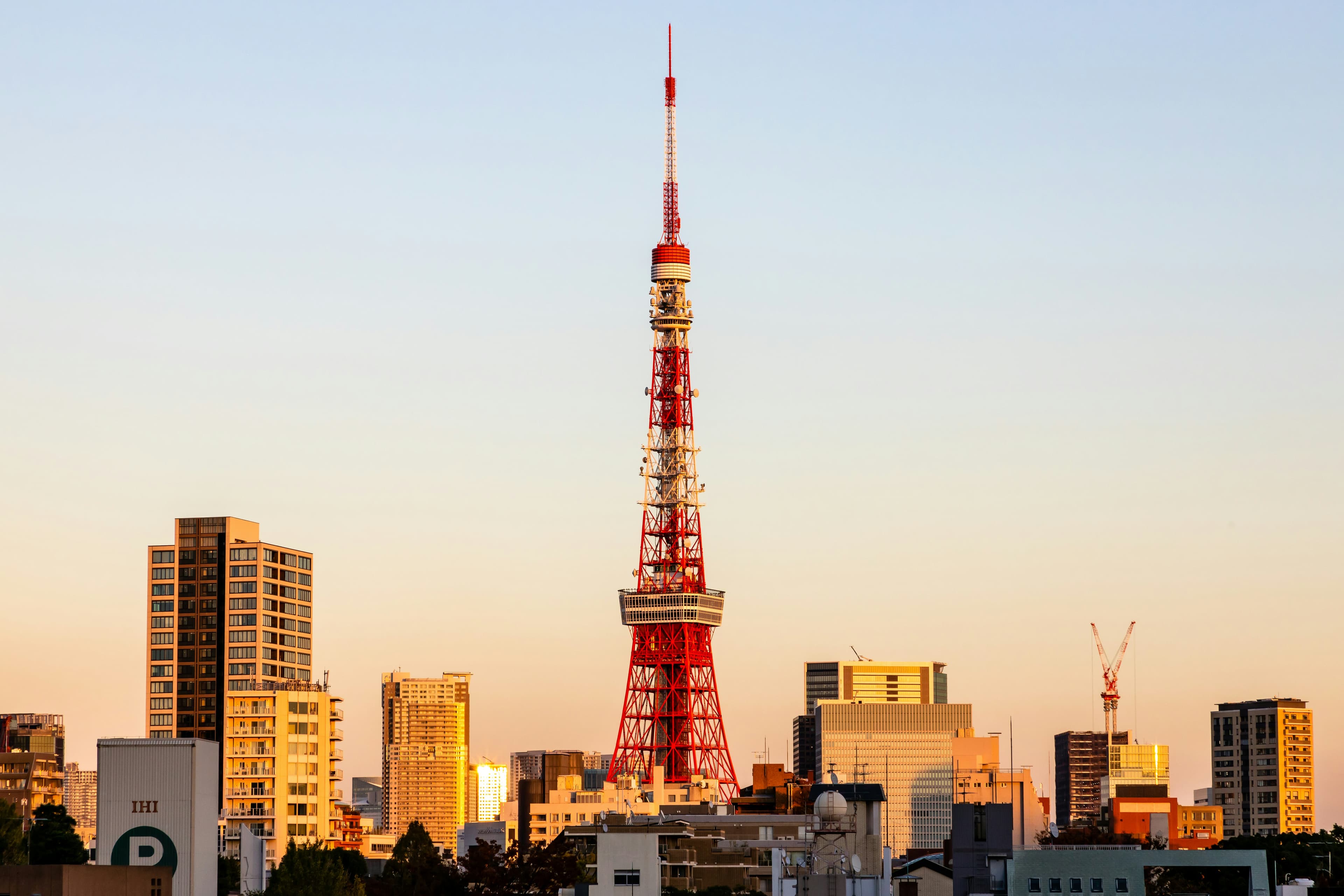 Tokyo Marathon 2026 preview